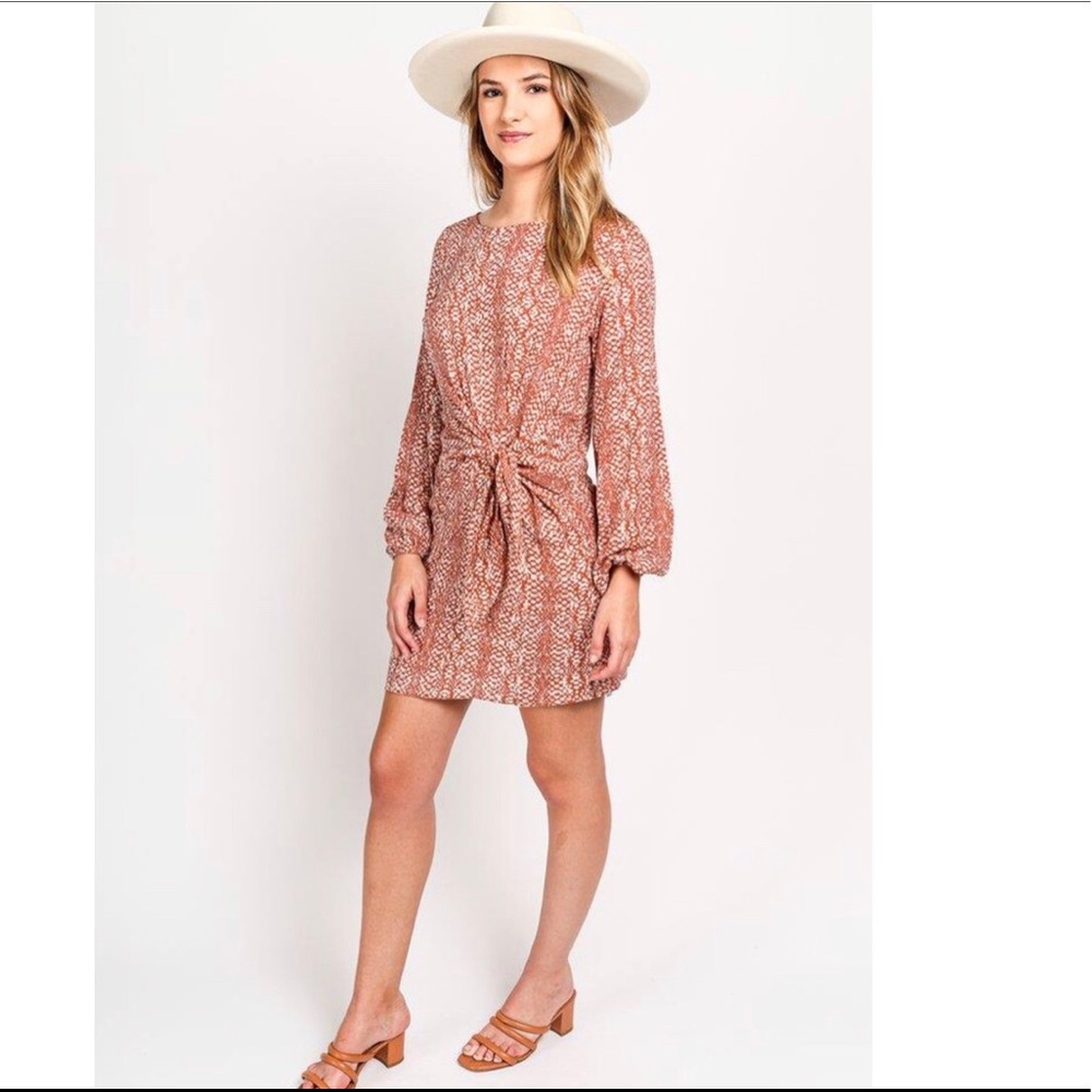 Snake Print Tie Dress
